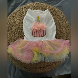 XS Doggy Cupcake with candle Tutu rainbow colors